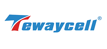 Shenzhen Topway New Energy Co., Ltd.